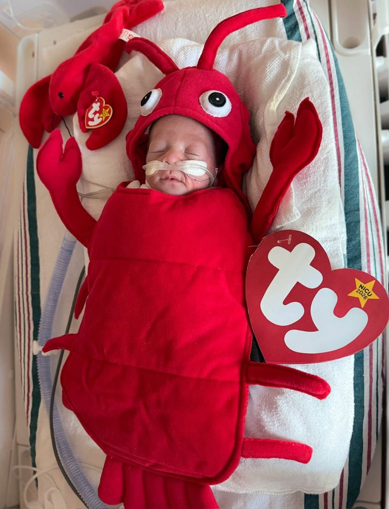 Methodist Germantown Hospital Nicu Babies Celebrate Halloween In Beanie Baby Cos
