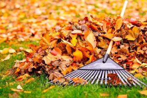 Miamisburg Starts Leaf Collection Season With New Guidelines For Residents