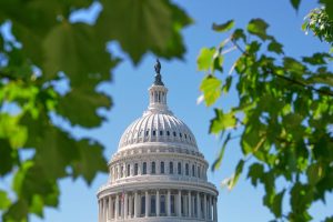 Michigan Senate Candidates Rogers And El Sayed To Debate In Grand Rapids