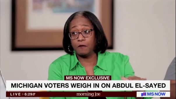 Michigan Senate Race Tightens As Black And Jewish Voters Question El Sayed