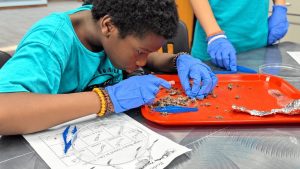 Mid America Science Museum Launches Home School Day For Arkansas Families