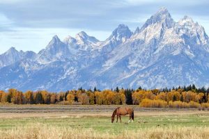 Mlb Drops Grand Teton National Park As Potential Game Site After Local Oppositio