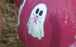 Monkey Bar Grille Hosts 10Th Annual Pink Pumpkin Sale For Breast Cancer Awarenes