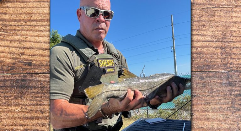 Monroe County Deputy Cites Jacksonville Man For Undersized Snook Harvest