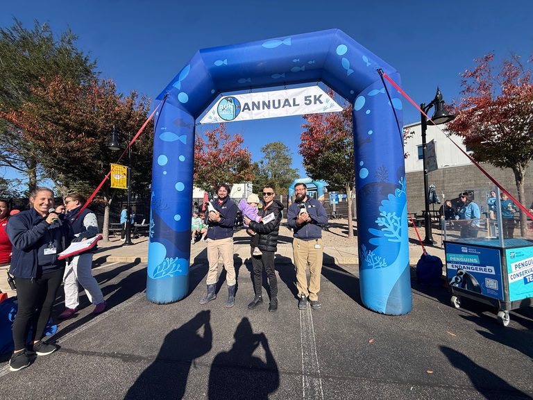 More Than 1 000 Gather At Mystic Aquarium For Penguin Run Walk Supporting Endang