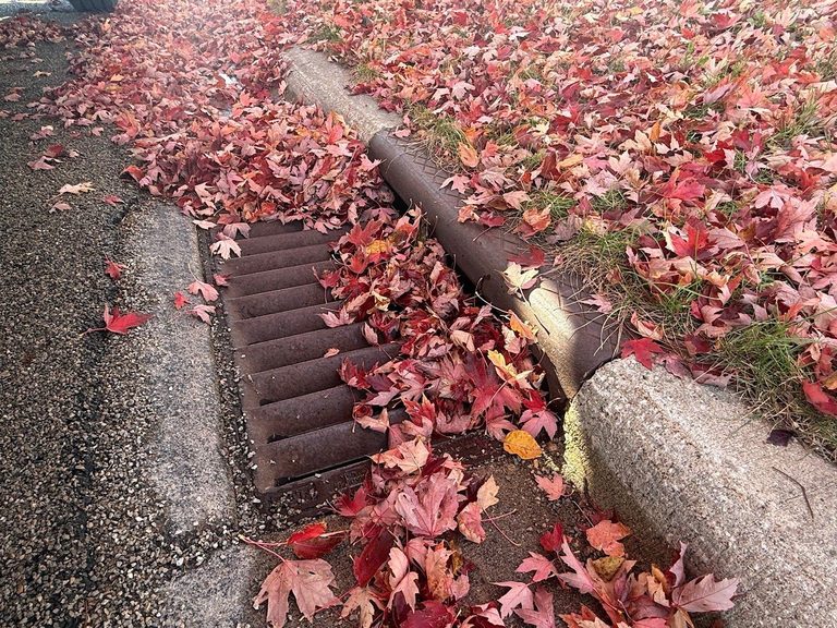 Mpca Warns Minnesota Homeowners To Clear Leaves From Gutters To Protect Water