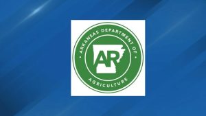 Multiple Agencies Combat Large Wildfire Near Highway 60 In Aplin Arkansas