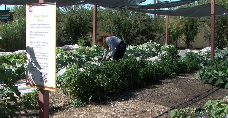 Mustard Seed Cafe In West El Paso Feeds Neighbors With Faith Driven Meals