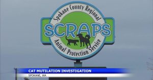 Mutilated Cats Found At Rockwood Vista Reservoir Prompt Animal Cruelty Warning