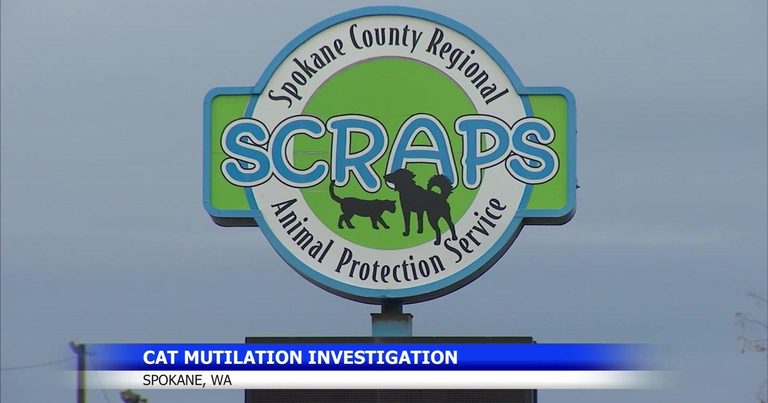 Mutilated Cats Found At Rockwood Vista Reservoir Prompt Animal Cruelty Warning