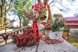 Naper Settlement Announces November December Family Programs And Holiday Events