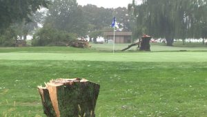 National Park Service Removes 500 Trees At East Potomac Golf Course Amid Lawsuit