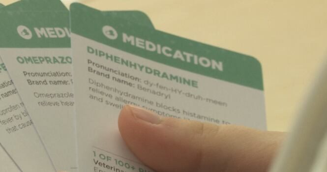 Ndsu Pharmacy School Launches Medmatch Card Game For Nd High School Students