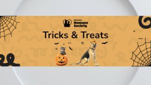Nevada Humane Society Hosts Free Tricks Treats Pet Adoption Event In Reno
