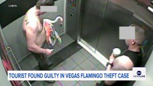 Nevada Jury Convicts Canadian Tourist Of Animal Cruelty After Flamingo Theft At