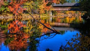 New England S 2026 Foliage Season Hailed As Elite By Leaf Peeping Expert