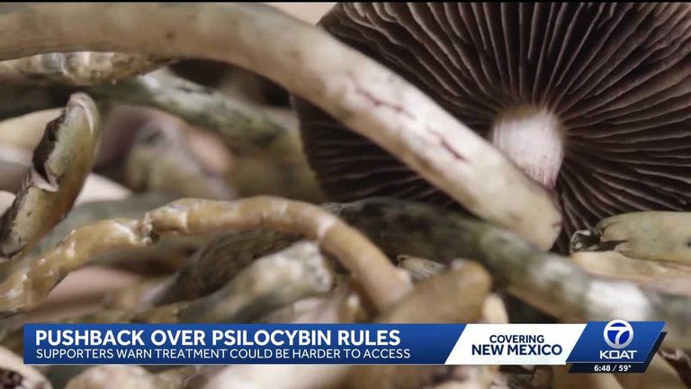 New Mexico Health Department Faces Pushback Over Medical Psilocybin Rules