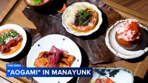 New Underground Omakase Spot Aogami Opens On Main Street In Manayunk