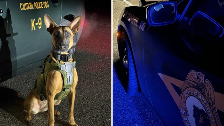 Nh State Police K 9 Helps Arrest High Speed Driver After 100 Mph Chase