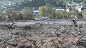 Norte Fire Evacuations Lifted As Containment Reaches 50 In San Clemente And San