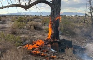 North Lyon County Firefighters Extinguish Outdoor Blaze In Fernley