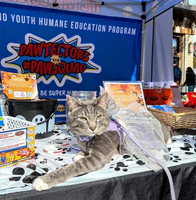 Northern Virginia Kids Club Blesses Shelter Animals Ahead Of World Animal Day
