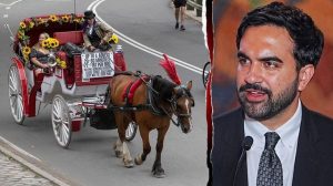 Nyc Council To Vote On Ban Of Central Park Horse Drawn Carriage Rides