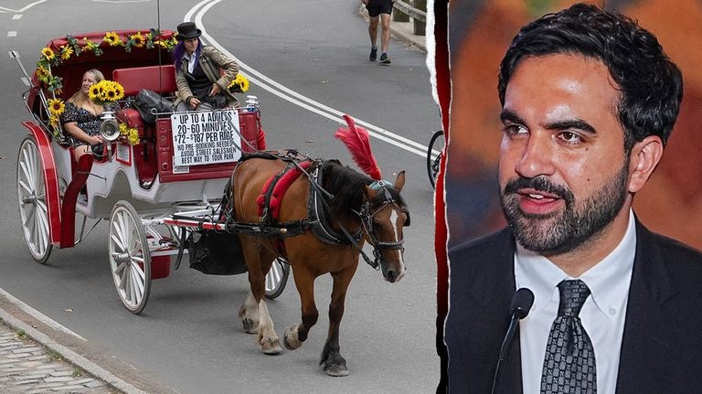 Nyc Council To Vote On Ban Of Central Park Horse Drawn Carriage Rides