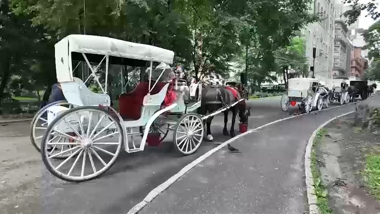 Nyc Council To Vote On Bill Ending Horse Drawn Carriage Rides With Worker Transi