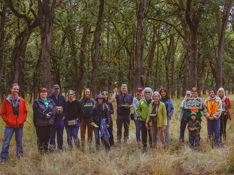 Oakfest Celebrates Five Years By Honoring Salem S Historic Oak Savanna