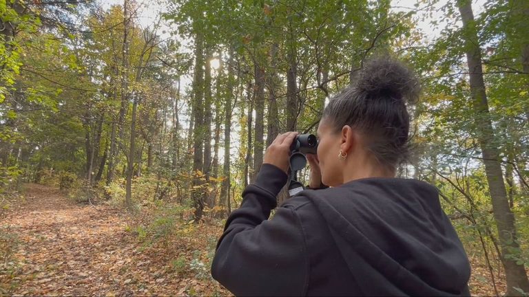 Onondaga County Libraries Roll Out Birdwatching Kits And Halloween Family Events