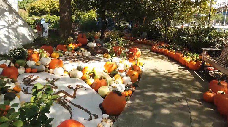 Orange Monday Fall Sale Offers Pumpkinville Decorations In Oklahoma City
