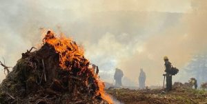 Oregon Allocates 10 Million For Landscape Resiliency Projects To Curb Wildfires
