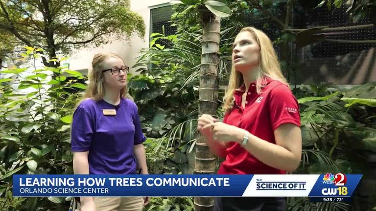Orlando Science Center Launches Program To Explore Tree Communication