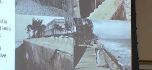 Palm Beach Seawall Replacement Set For 2027 Residents Voice Concerns