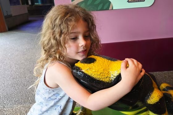 Parents Of 5 Year Old Silver Rail Shooting Victim Retain Law Firms For Independe