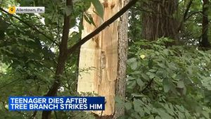 Parkland High School Cross Country Runner Dies After September Tree Branch Accid