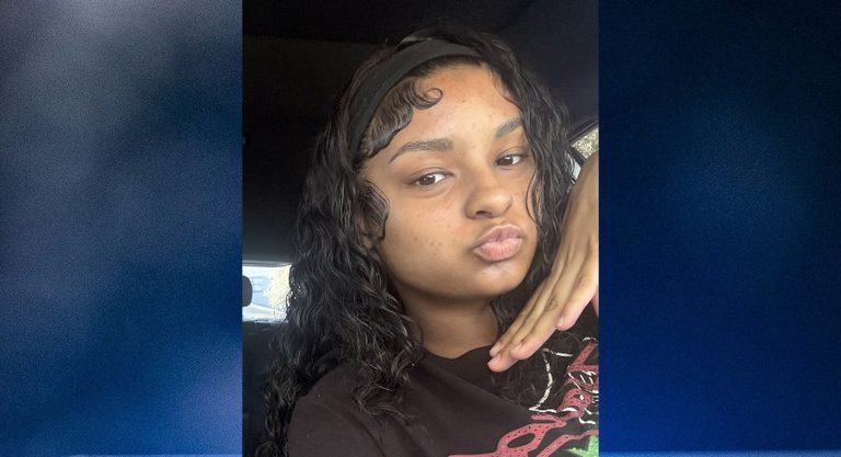 Pasco County Deputies Seek Public Help To Find Missing 16 Year Old In Holiday