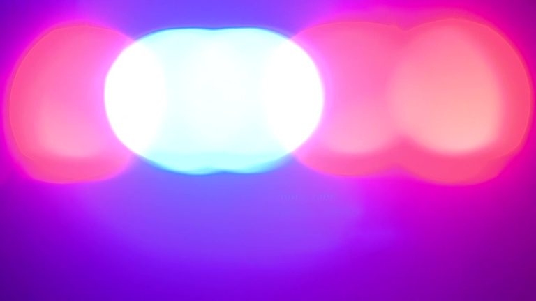Pasco Deputy Dies By Self Inflicted Gunshot After Parking Lot Altercation At Pal