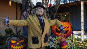 Peddler S Village Celebrates 47 Years Of Unique Scarecrow Displays