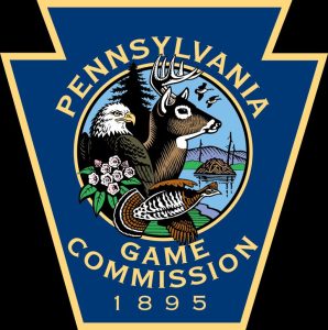 Pennsylvania Game Commission Warns Drivers Of Increased Deer Activity This Fall