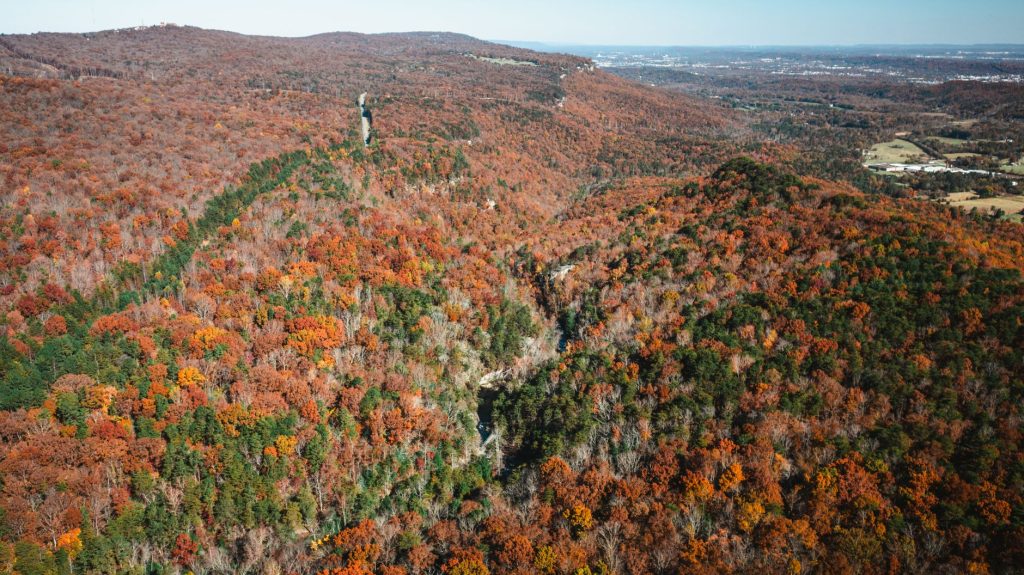 Occoneechee Mountain State Natural Area — Durham