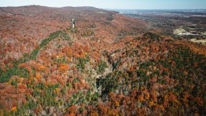 Occoneechee Mountain State Natural Area — Durham