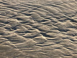 Pawleys Island Creek & Tidal Flat Paddle (Self-Guided) — Georgetown