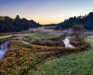 Foster Brook Meadows — Bradford