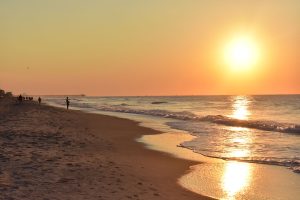 Myrtle Beach State Park Tide Pool & Nature Center — Myrtle Beach