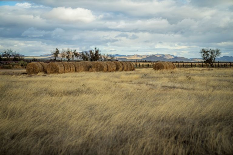 Steam Pump Ranch — Tucson
