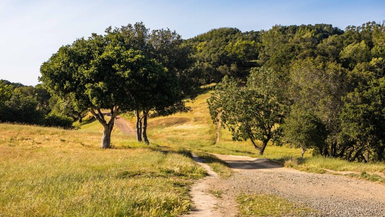 Catamount Trail System — Catamount Open Space — Woodland Park