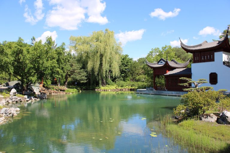 Feng Chang Garden — Hartford