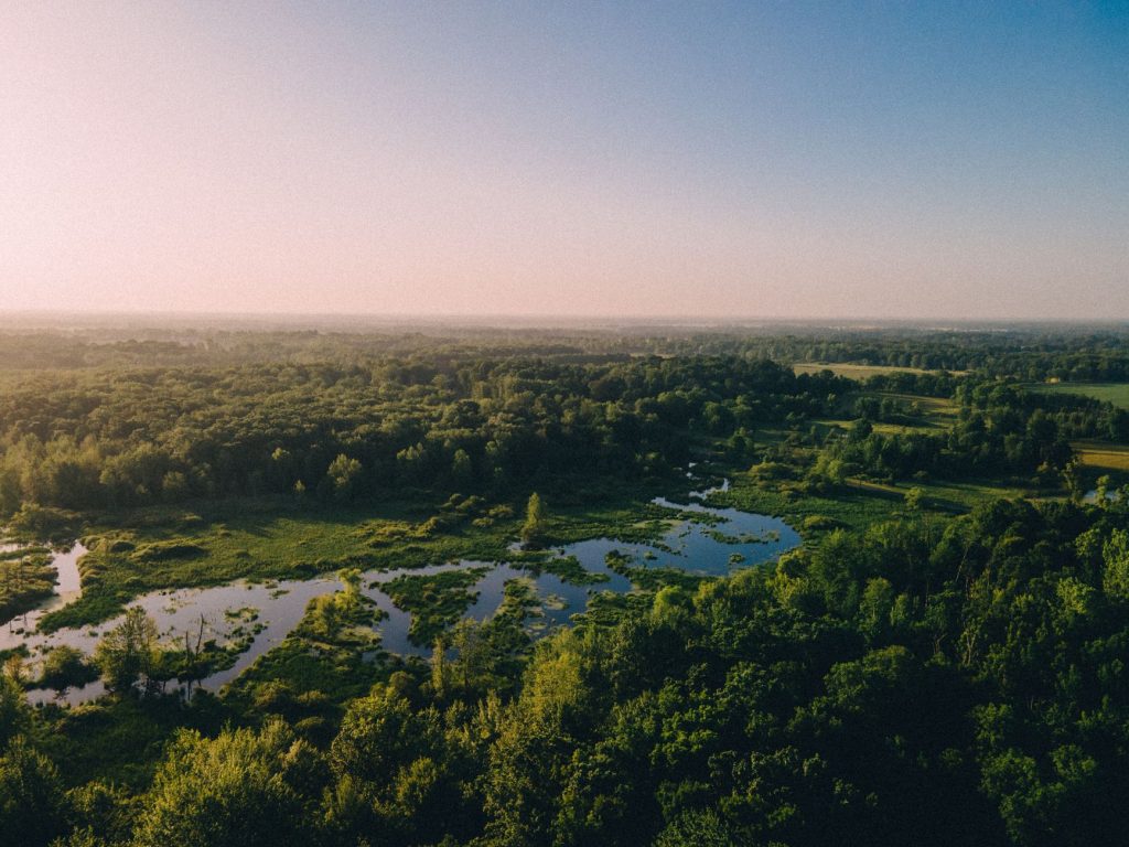 Toledo Metroparks – Wiregrass Lake Area (Oak Openings Preserve) — Toledo